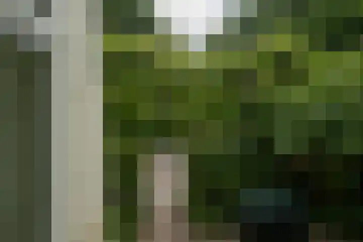 Noorderbuitensingel 22 Groningen thumbnail 30