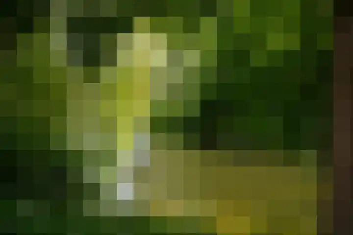 Noorderbuitensingel 22 Groningen thumbnail 36