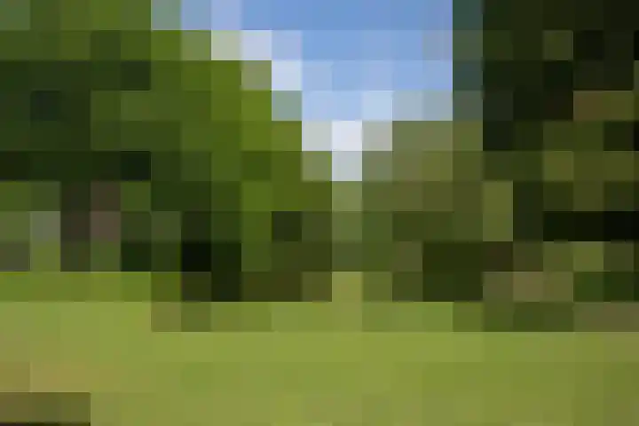 Noorderbuitensingel 22 Groningen thumbnail 37