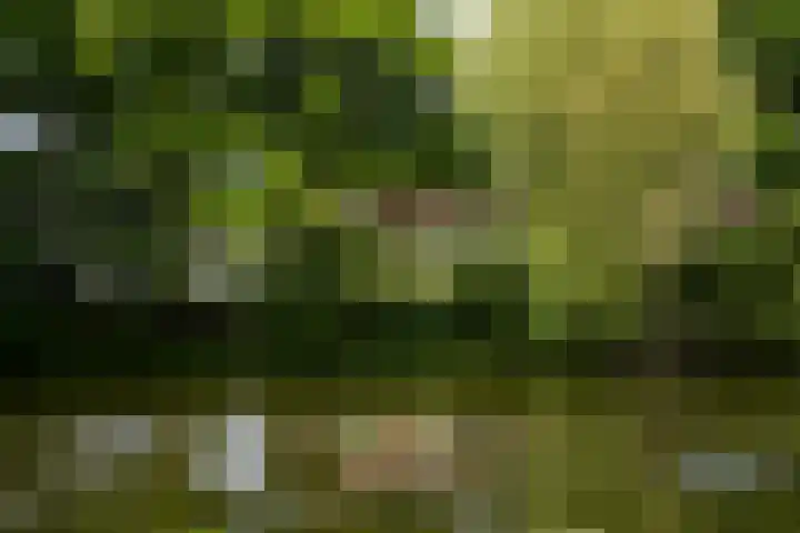Noorderbuitensingel 22 Groningen thumbnail 39