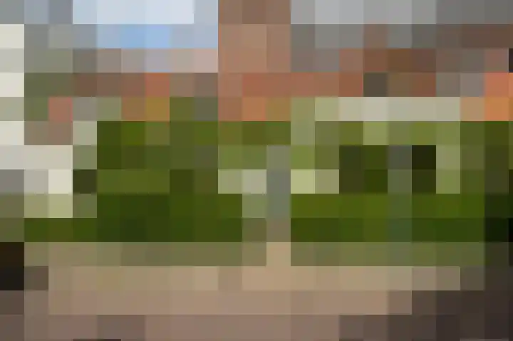Noorderbuitensingel 22 Groningen thumbnail 4