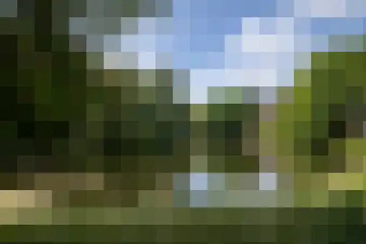 Noorderbuitensingel 22 Groningen thumbnail 42