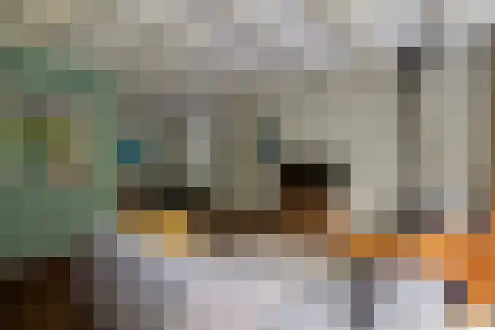Noorderbuitensingel 22 Groningen thumbnail 7