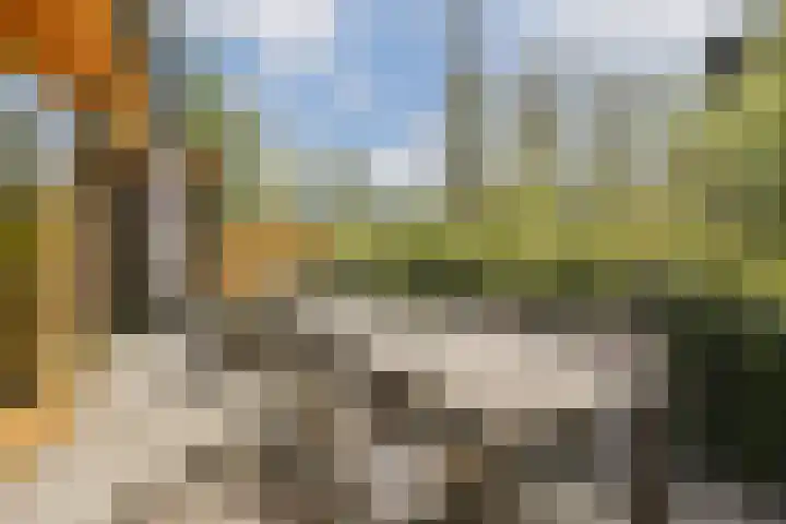 Noorderduinstraat 217 Almere thumbnail 12