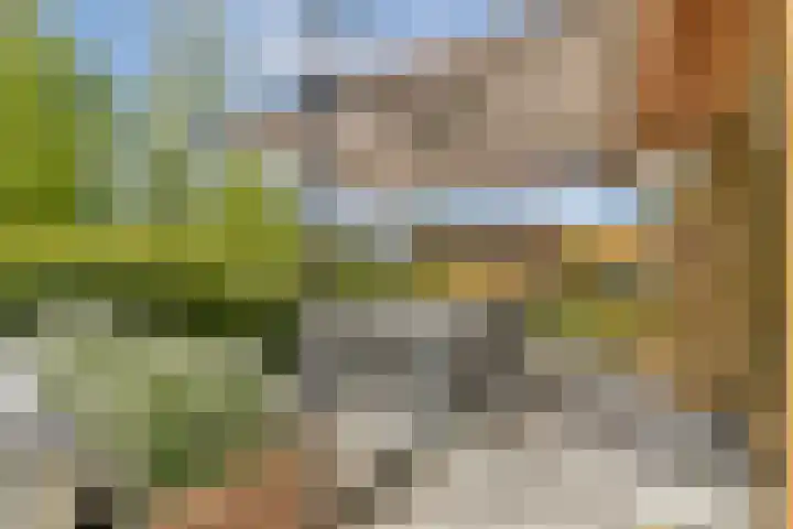 Noorderduinstraat 217 Almere thumbnail 13
