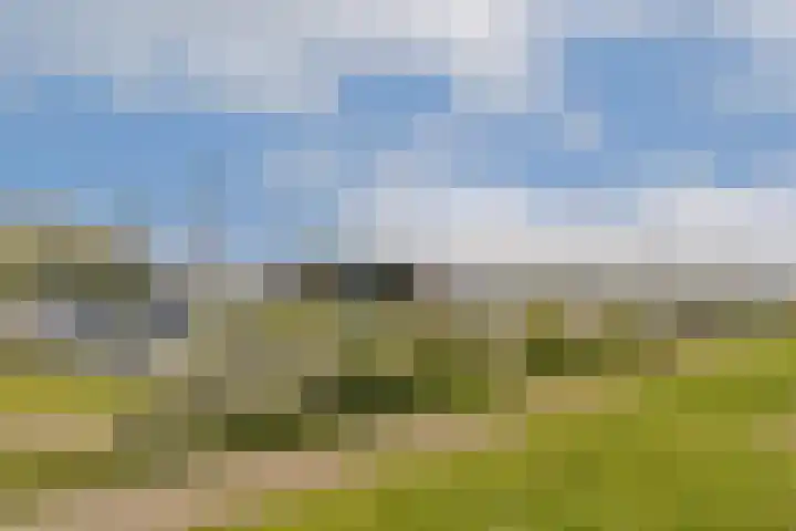 Noorderduinstraat 217 Almere thumbnail 36