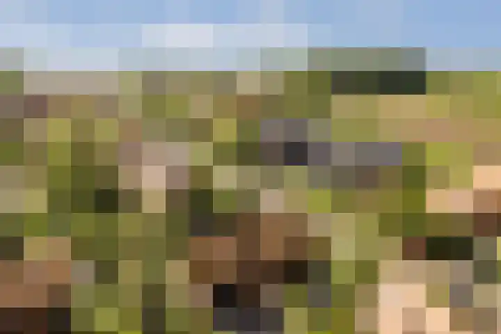 Noorderduinstraat 217 Almere thumbnail 38