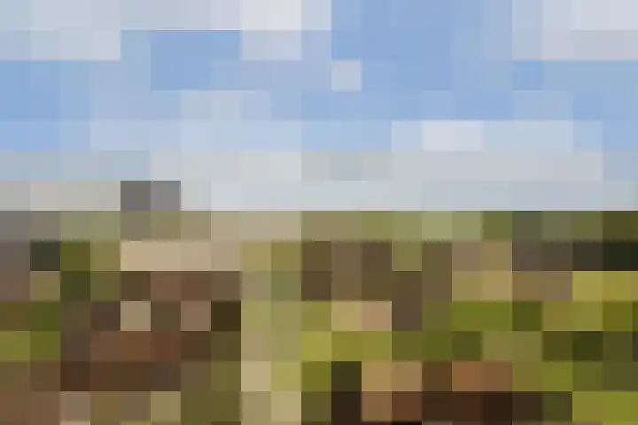 Noorderduinstraat 217 Almere thumbnail 39