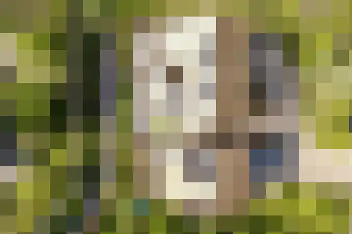 Noorderduinstraat 217 Almere thumbnail 41