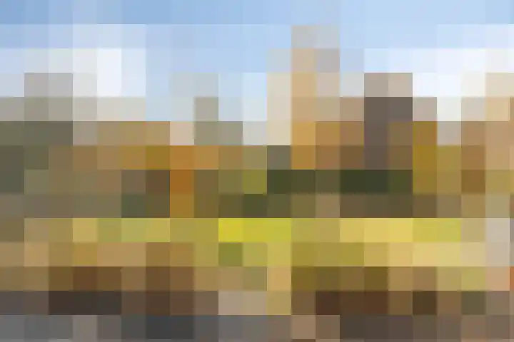 Noorderduinstraat 415 Almere thumbnail 22