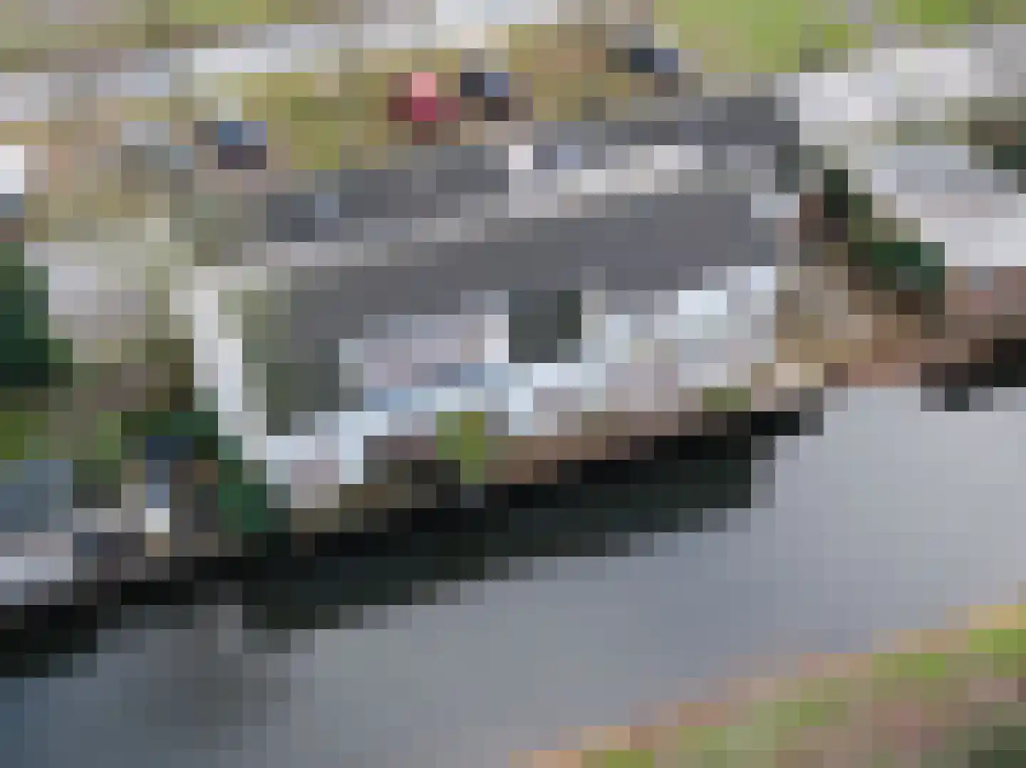 Noordereinde 311 's-Graveland thumbnail 23