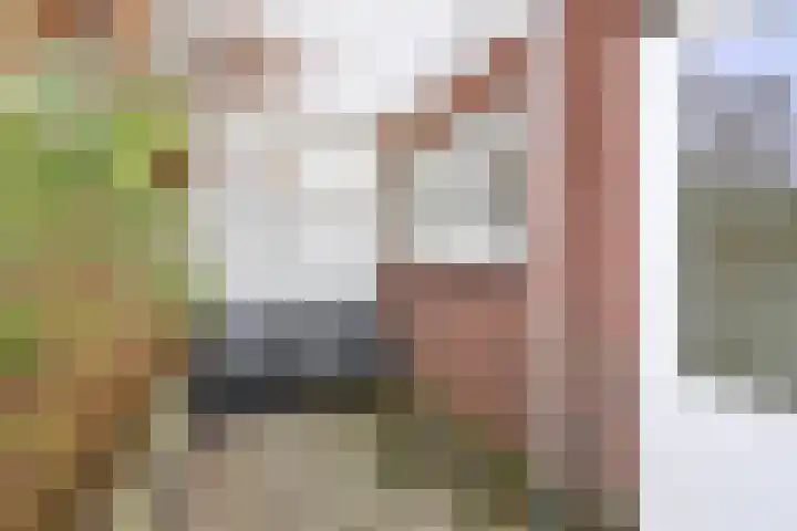 Noordereinde 85 's-Graveland thumbnail 13