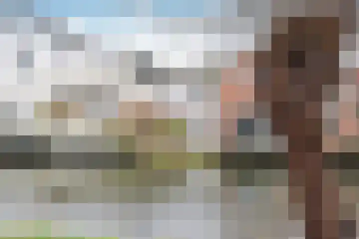 Noordereinde 85 's-Graveland thumbnail 14