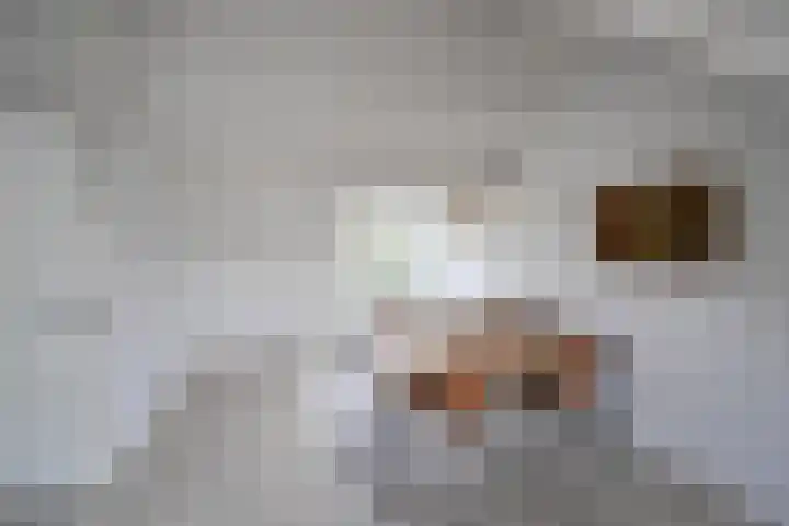 Noordereinde 85 's-Graveland thumbnail 8