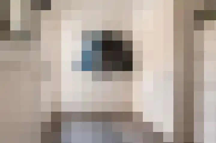 Noorderenk 22 Bathmen thumbnail 10