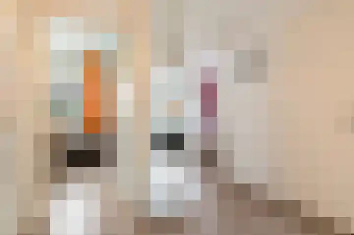 Noorderenk 22 Bathmen thumbnail 12