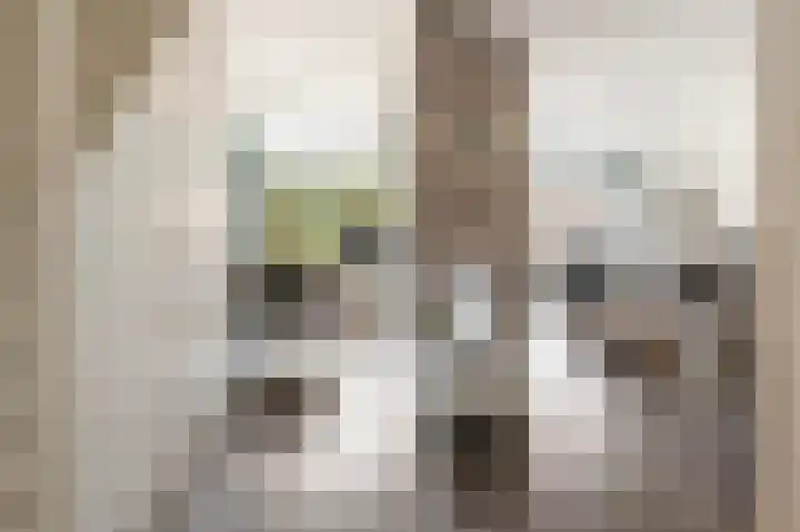 Noorderenk 22 Bathmen thumbnail 4
