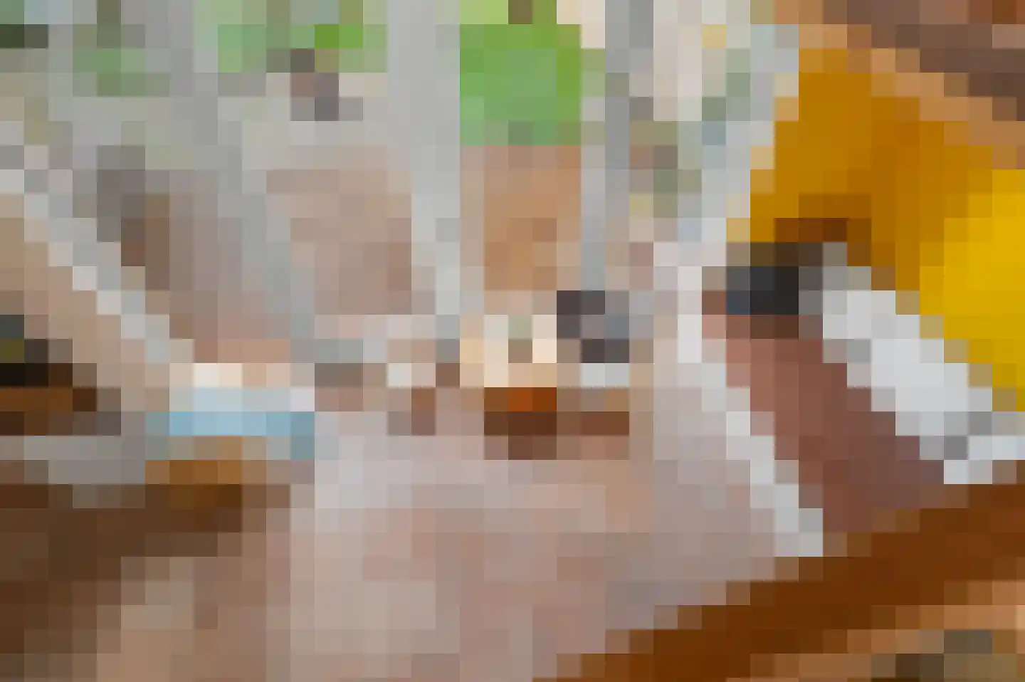 Noorderenk 81 Bathmen thumbnail 14