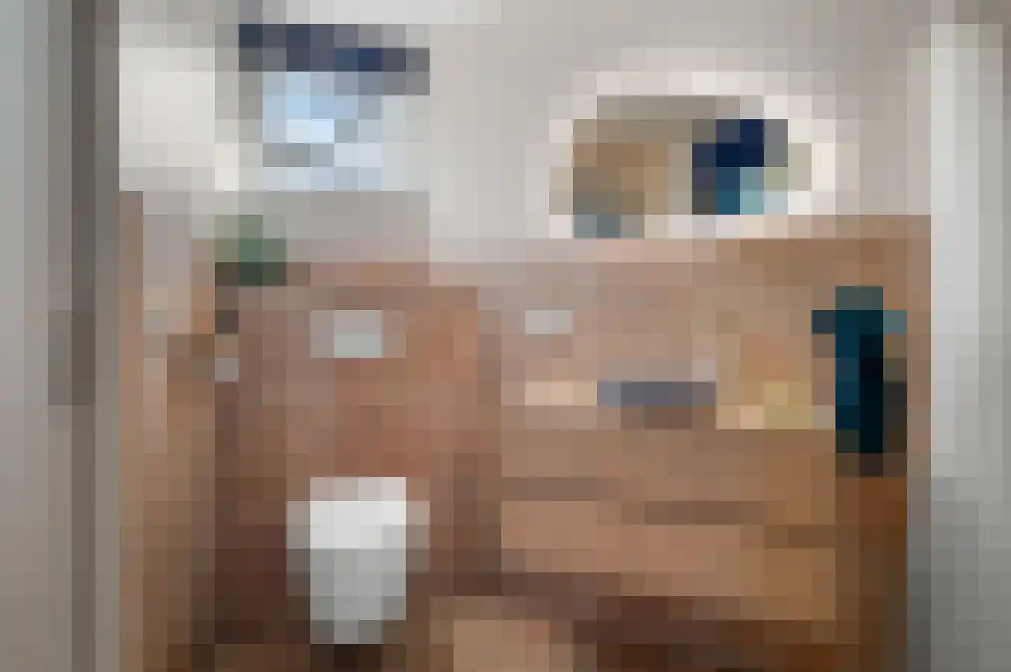 Noorderenk 81 Bathmen thumbnail 19