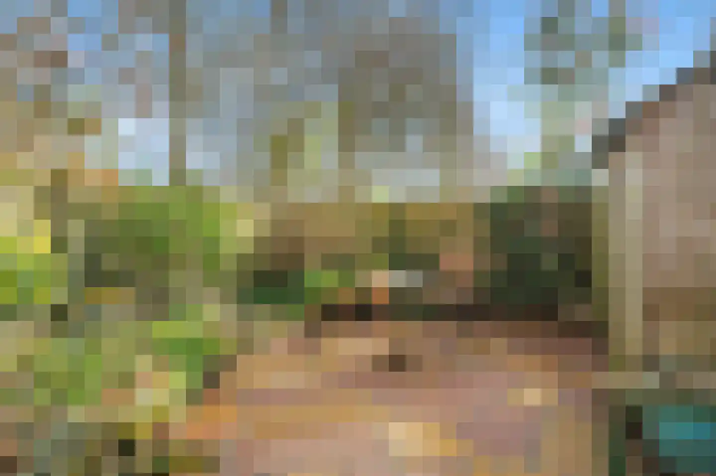Noorderenk 81 Bathmen thumbnail 38