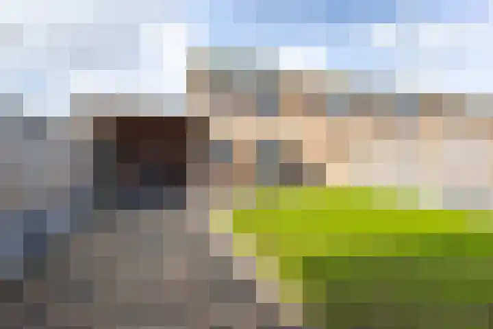 Noordererf 30 Dussen thumbnail 39