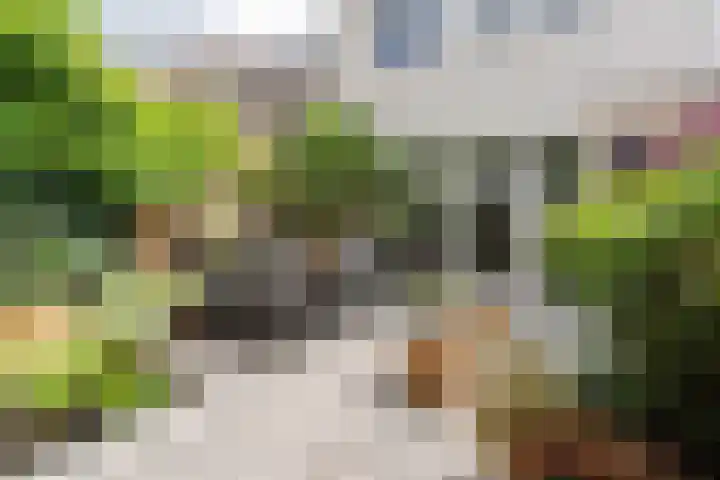 Noordererf 46 Dussen thumbnail 19