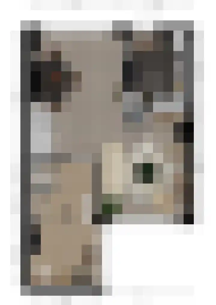 Noordererf 46 Dussen thumbnail 36