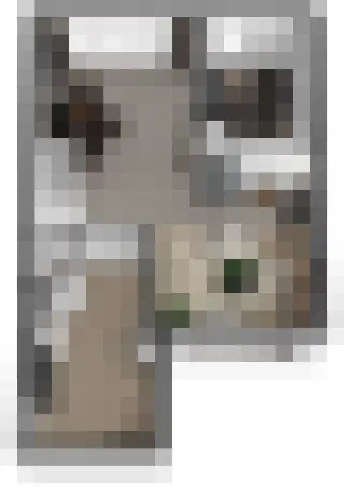 Noordererf 46 Dussen thumbnail 37