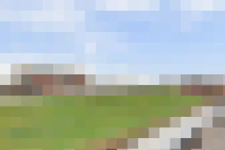 Noorderhaven 13 Harlingen thumbnail 33