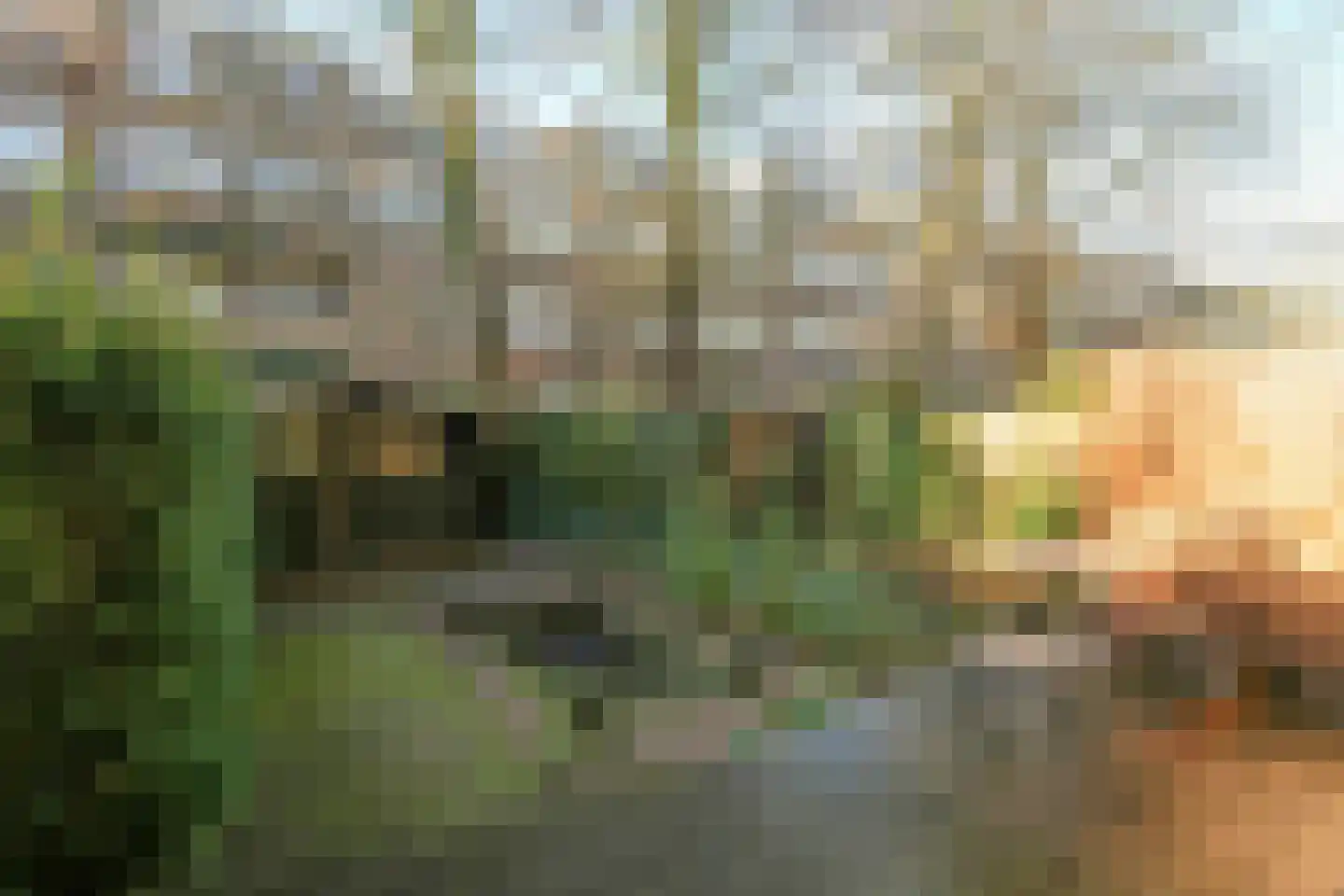Noorderhavenkade 77 A Rotterdam thumbnail 13