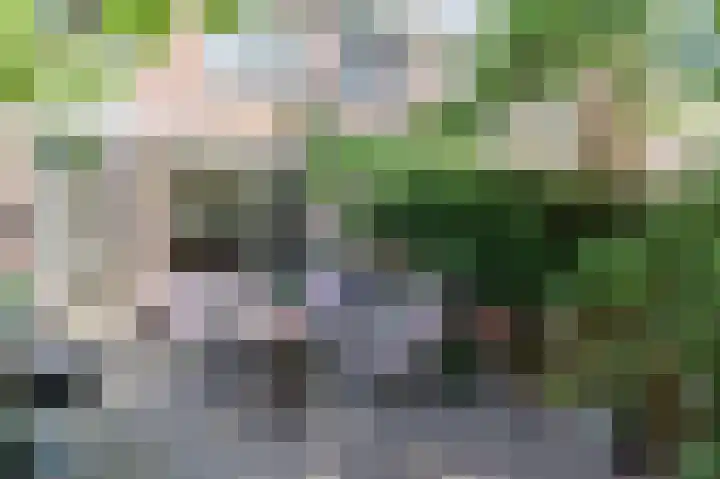 Noorderhof 9 Delft thumbnail 12