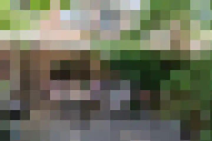 Noorderhof 9 Delft thumbnail 13