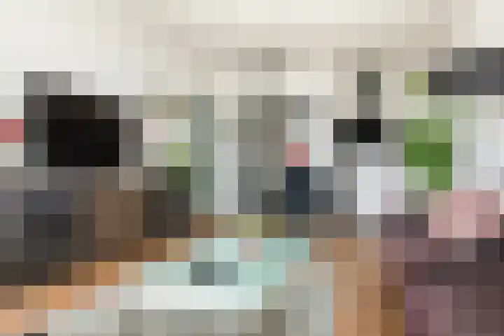 Noorderkade 1 A Alkmaar thumbnail 15