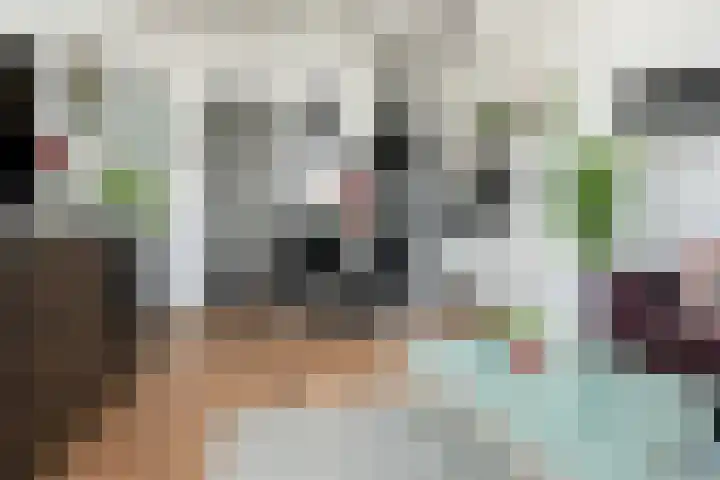 Noorderkade 1 A Alkmaar thumbnail 16