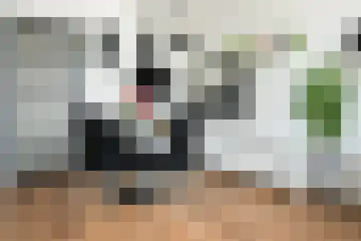 Noorderkade 1 A Alkmaar thumbnail 17