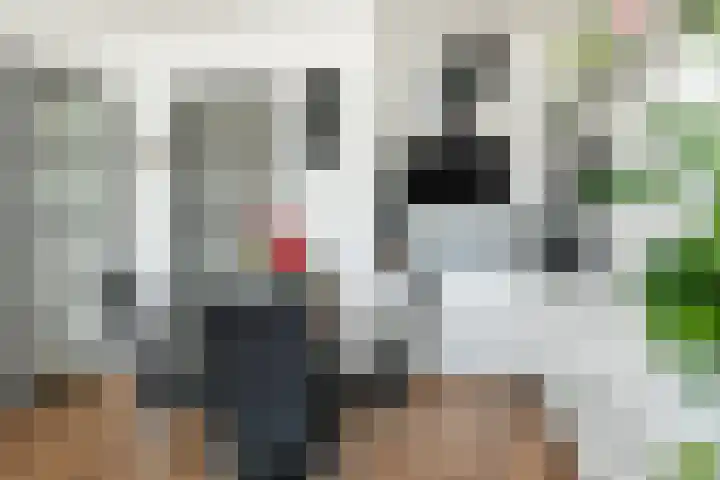 Noorderkade 1 A Alkmaar thumbnail 18