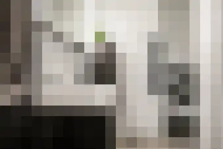 Noorderkade 1 A Alkmaar thumbnail 29