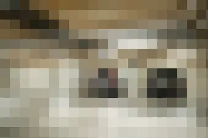 Noorderkade 1 A Alkmaar thumbnail 33