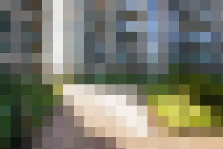 Noorderkade 1 A Alkmaar thumbnail 35