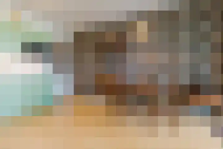 Noorderkade 2 G Alkmaar thumbnail 14