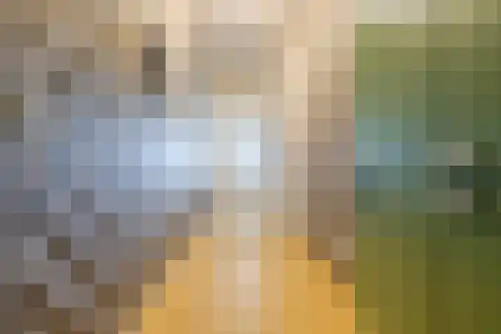 Noorderkade 2 G Alkmaar thumbnail 15