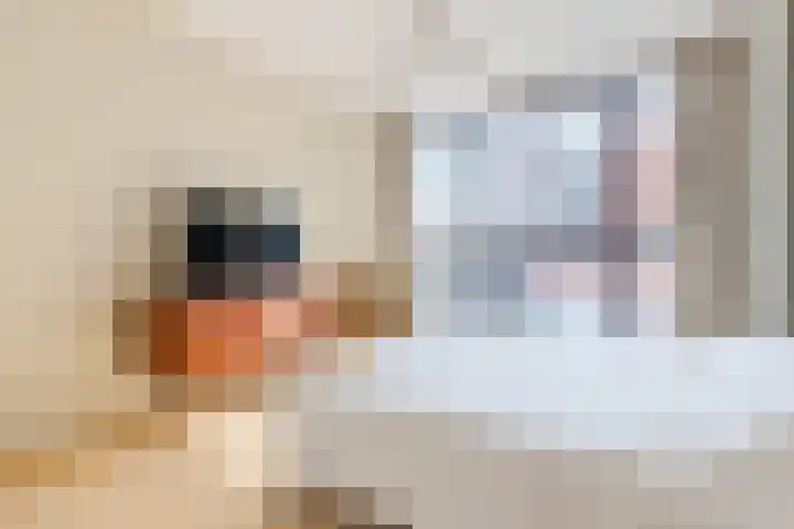Noorderkade 2 G Alkmaar thumbnail 17