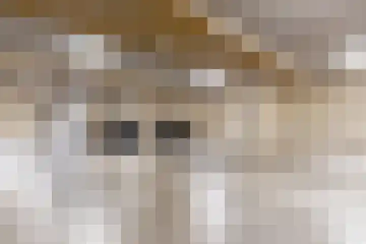 Noorderkade 2 G Alkmaar thumbnail 32