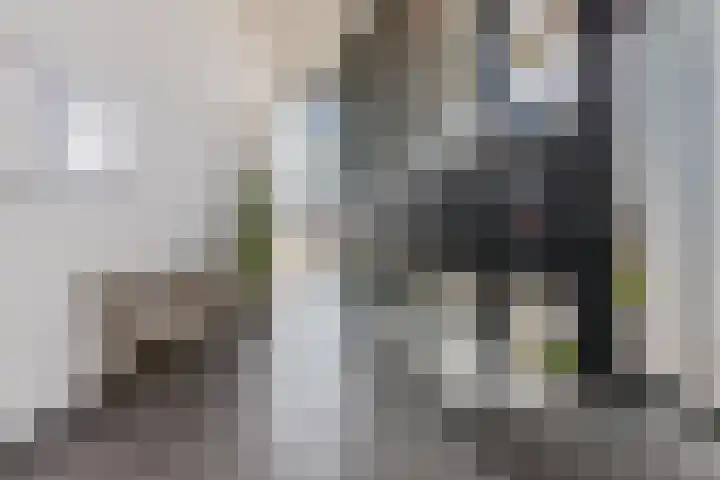 Noorderkade 2 G Alkmaar thumbnail 5