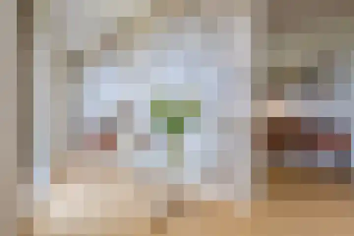Noorderkade 2 G Alkmaar thumbnail 9