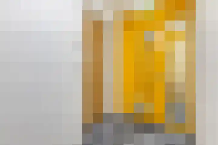 Noorderkade 21 C Alkmaar thumbnail 15