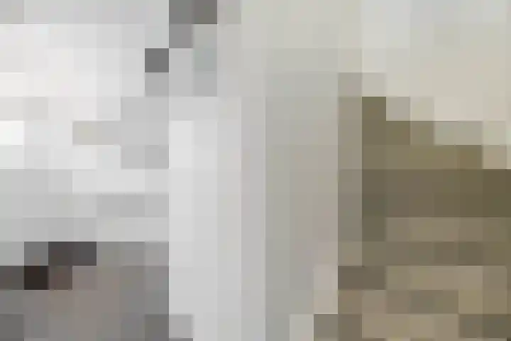 Noorderkroon 16 Lisse thumbnail 15