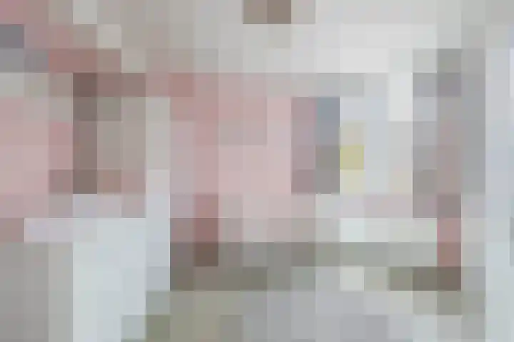 Noorderkroon 16 Lisse thumbnail 18