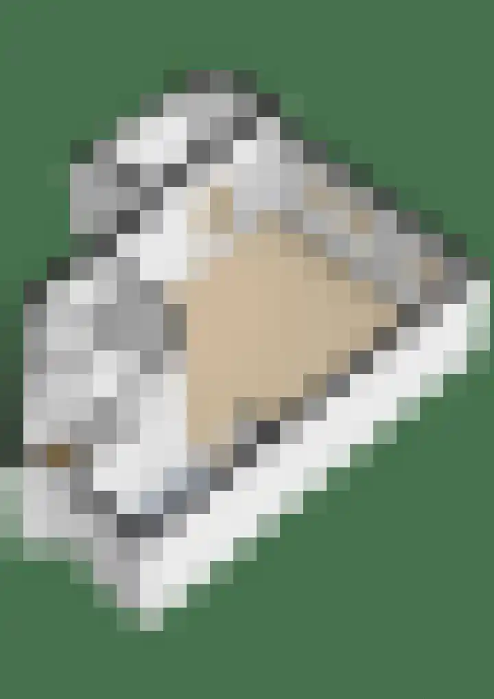 Noorderkroon 16 Lisse thumbnail 40