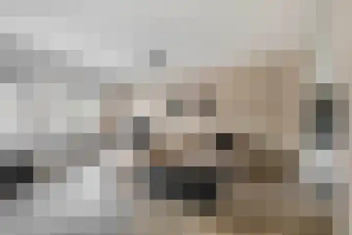 Noorderkroon 16 Lisse thumbnail 9